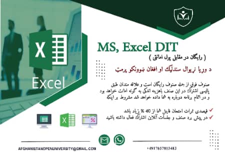 MS, Excel DIT