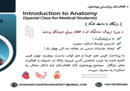 Introduction to Anatomy